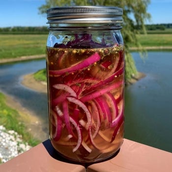 Quick-Pickled Onions