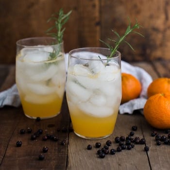 Juniper Berry Citrus Gin Fizz Cocktail