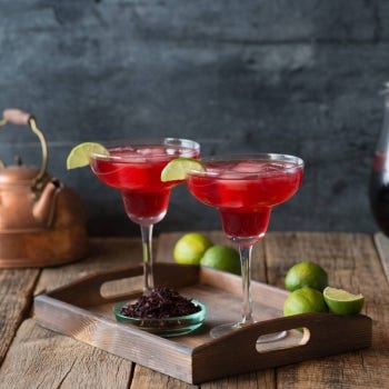 Hibiscus Margarita