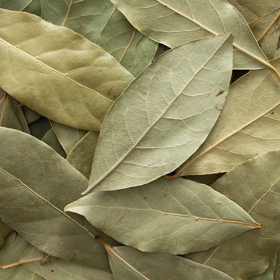 bay-leaf