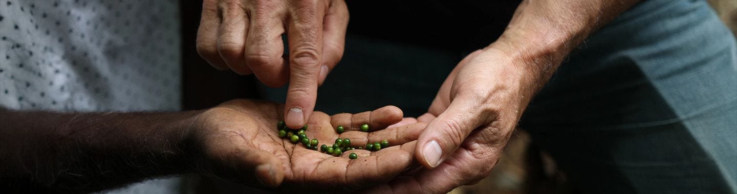 regenerative-agriculture