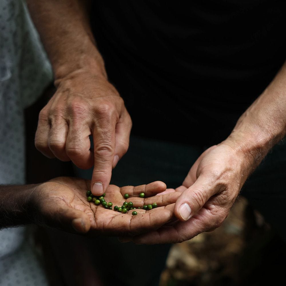 regenerative-agriculture