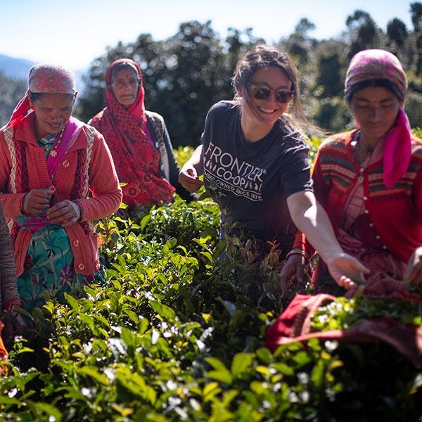 India Tea